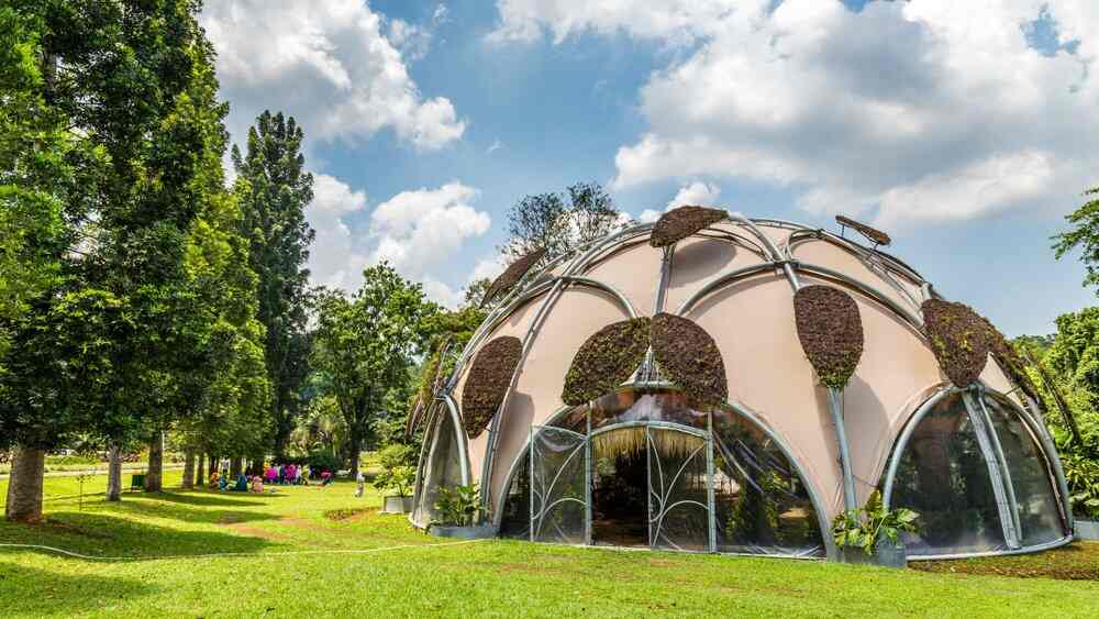 Kalyan Tours and Travels — Honeymoon Packages in Rajkot